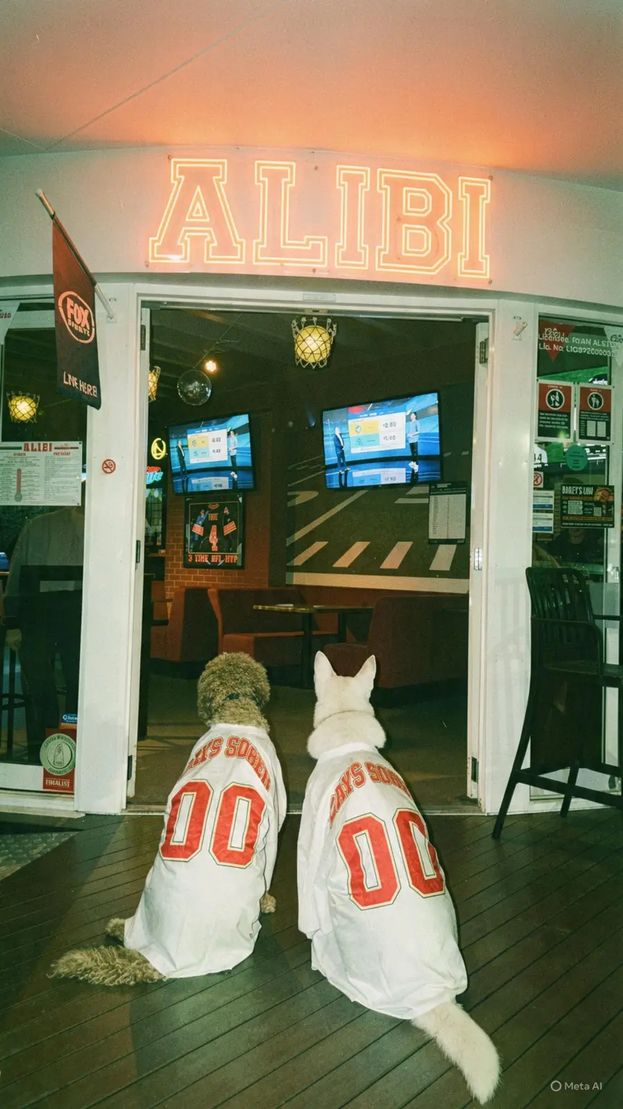 Two dogs in Alibi 00 jerseys at the neon entrance